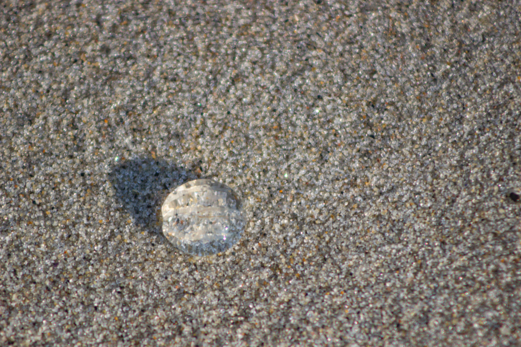 Walk on the&nbsp;beach