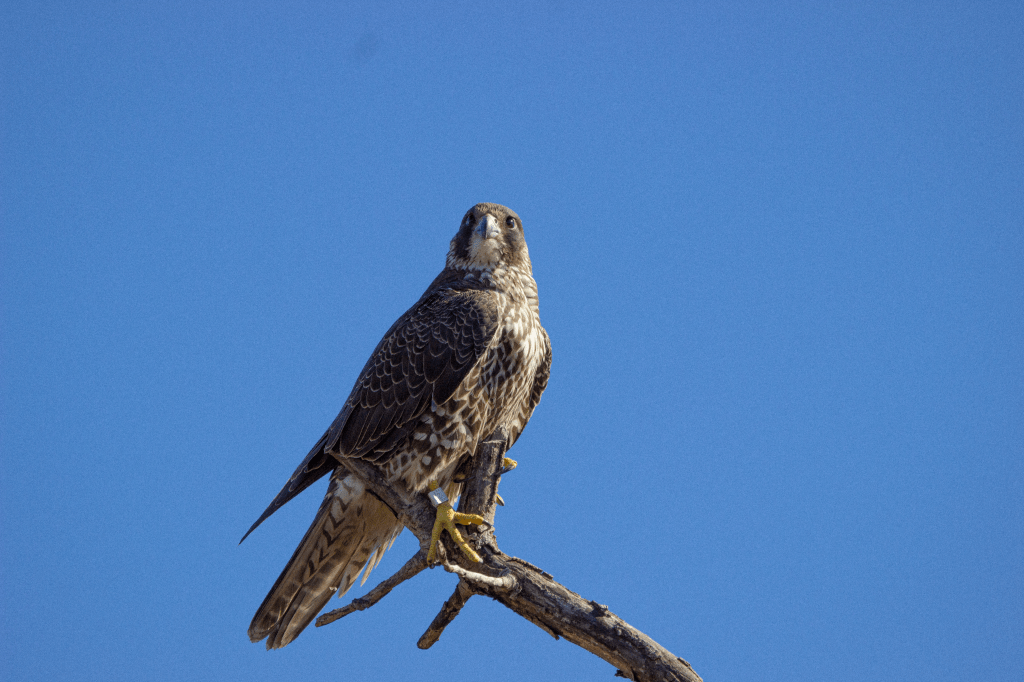 Sunny day at Jamaica&nbsp;Bay
