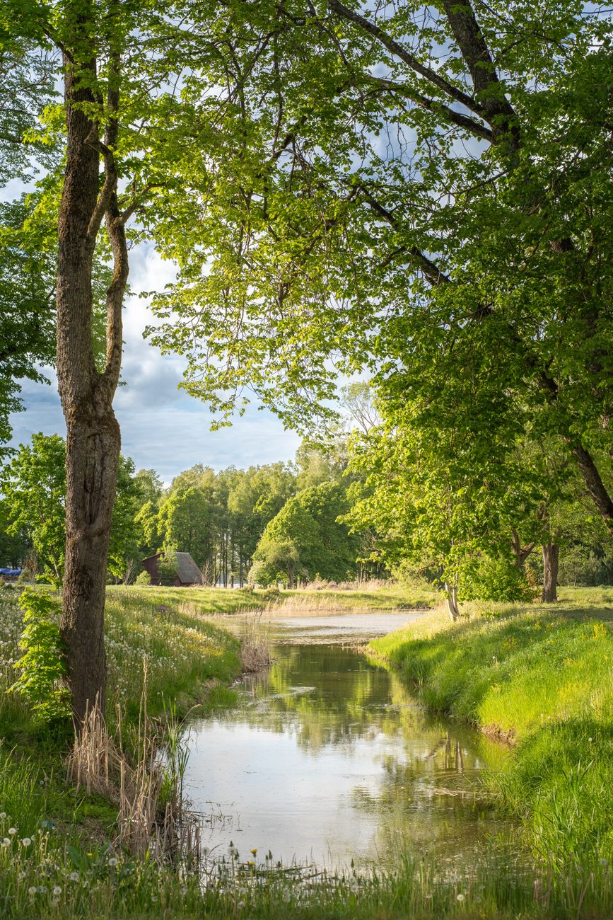 Is a River Alive?